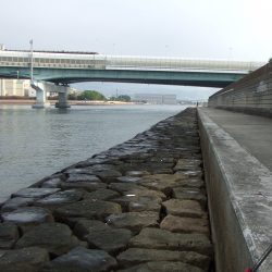 鉄板バイブでキビレ４３㎝