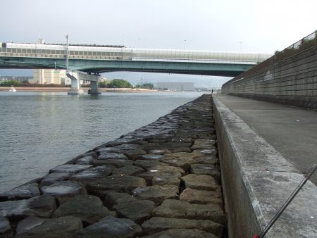 鉄板バイブでキビレ４３㎝