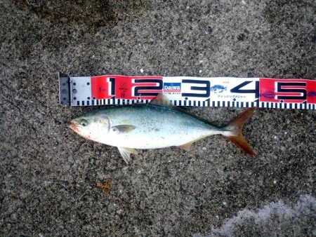 ポッパーでツバス