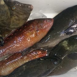 小物釣り