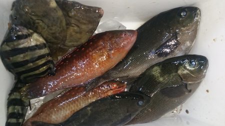 小物釣り