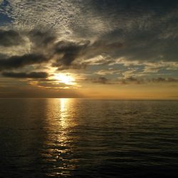 カマスゲーム②