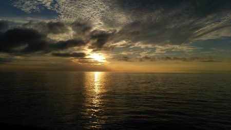 カマスゲーム②