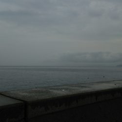 タチウオ好調❗