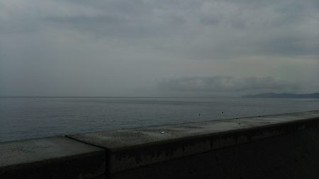 タチウオ好調❗