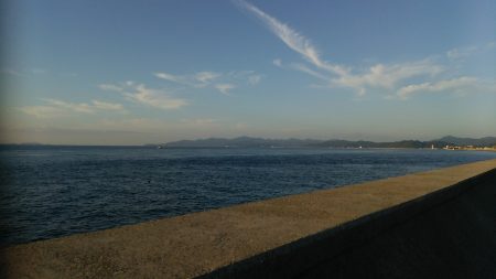 タチウオ好調継続❗