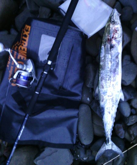 ショアジギでサワラ