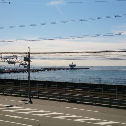 ひさしぶりの青物