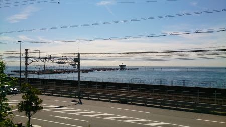 ひさしぶりの青物