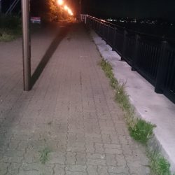 足でみつけたアジです