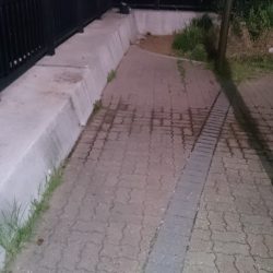 暑さにも負けず、家庭サービスも忘れず