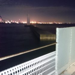 マイポイントの常夜燈がー