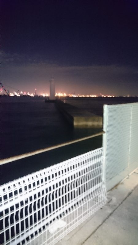 マイポイントの常夜燈がー