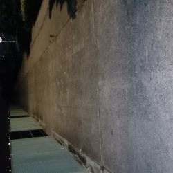 とりあえずアジが釣れました