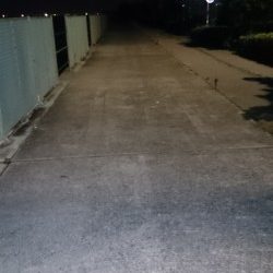 とりあえずアジが釣れました