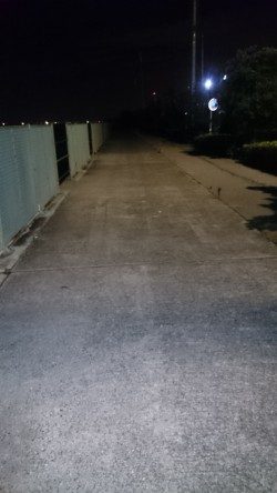 とりあえずアジが釣れました