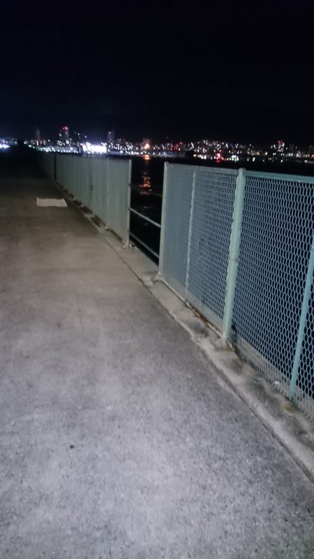 アジは今日はお留守です