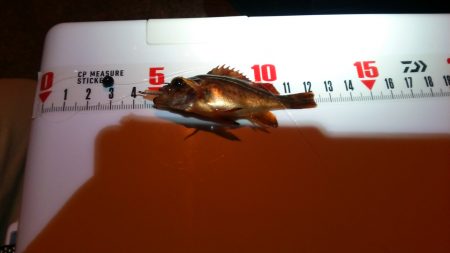 ｶﾏｽは今日もﾀﾞﾒ　(^_^;)