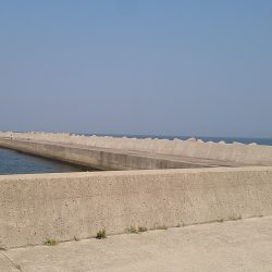 トップでドーーーン