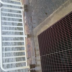 夕飯のおかずです