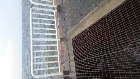 夕飯のおかずです