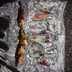 雨風の中頑張りました。