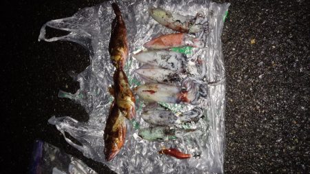 雨風の中頑張りました。