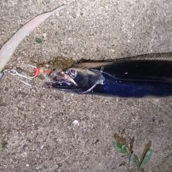 雨の中、気合いダアッ！