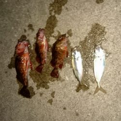 神戸空港の東側の常夜燈が消えてる