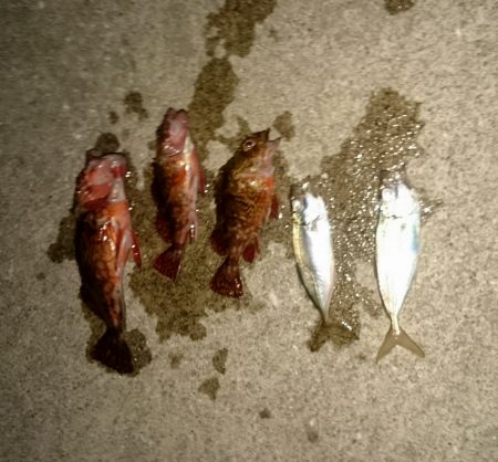 神戸空港の東側の常夜燈が消えてる