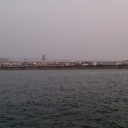 まだまだちいさいです