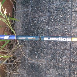 春木ベランダでタコ