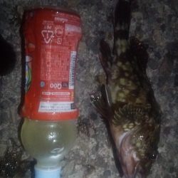 根掛かりとの戦い