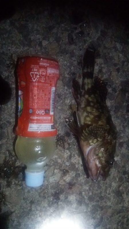 根掛かりとの戦い