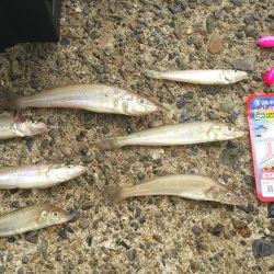 ちょい投げで……