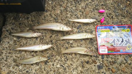 ちょい投げで……