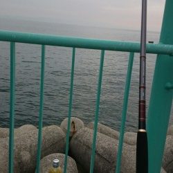 ショアジギでカマス