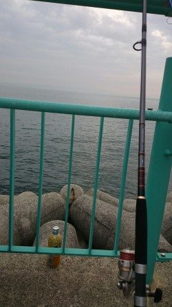 ショアジギでカマス