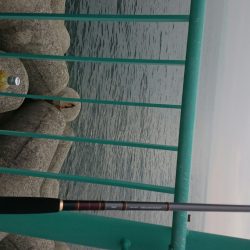 ショアジギでカマス