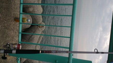 ショアジギでカマス