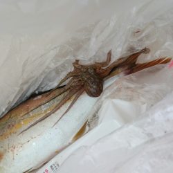 シオ初ゲット！！