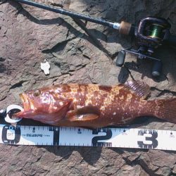 ハードロックpartⅡ