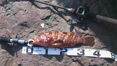 ハードロックpartⅡ