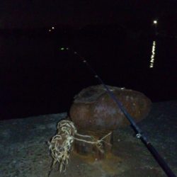 夜釣り