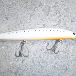 ナイトシーバス