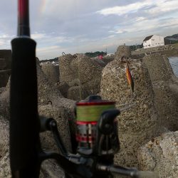 新子調査に・・・う