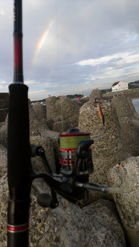 新子調査に・・・う