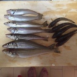 天婦羅を想像しながら…