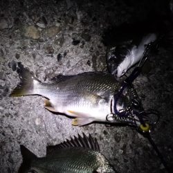 とりあえずキープサイズ！！