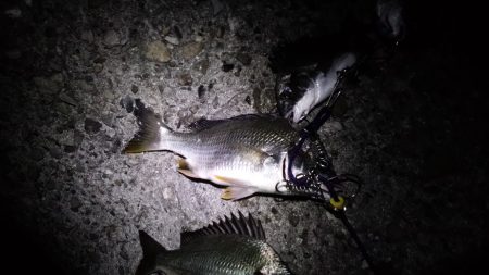 とりあえずキープサイズ！！